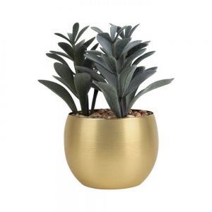 PLANTA DECORATIVA DAKAR personalizada